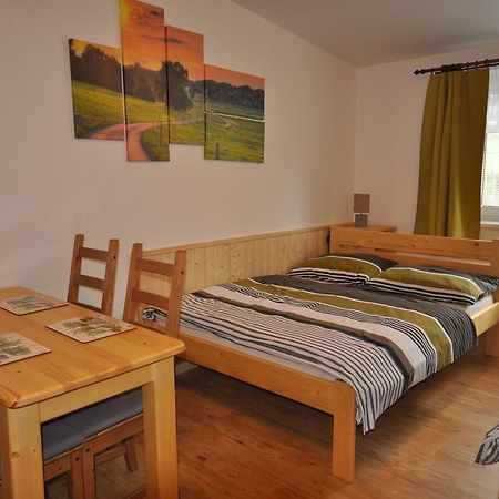 Studio Apartments Lipno 22, 24 Lipno nad Vltavou Cameră foto