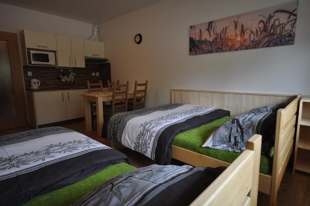 Studio Apartments Lipno 22, 24 Lipno nad Vltavou Cameră foto