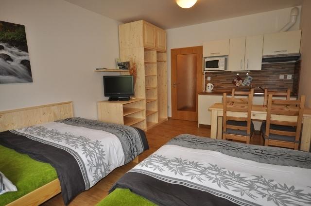 Studio Apartments Lipno 22, 24 Lipno nad Vltavou Cameră foto