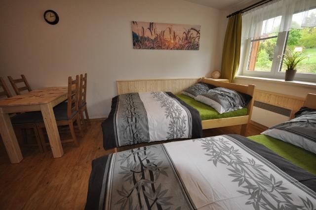 Studio Apartments Lipno 22, 24 Lipno nad Vltavou Cameră foto