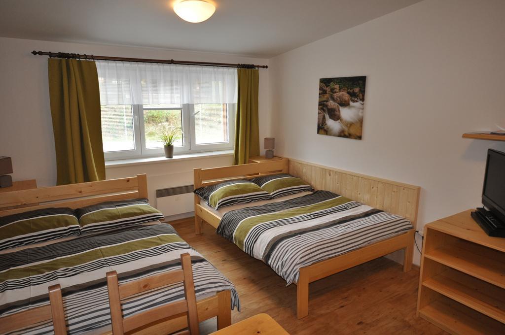 Studio Apartments Lipno 22, 24 Lipno nad Vltavou Cameră foto