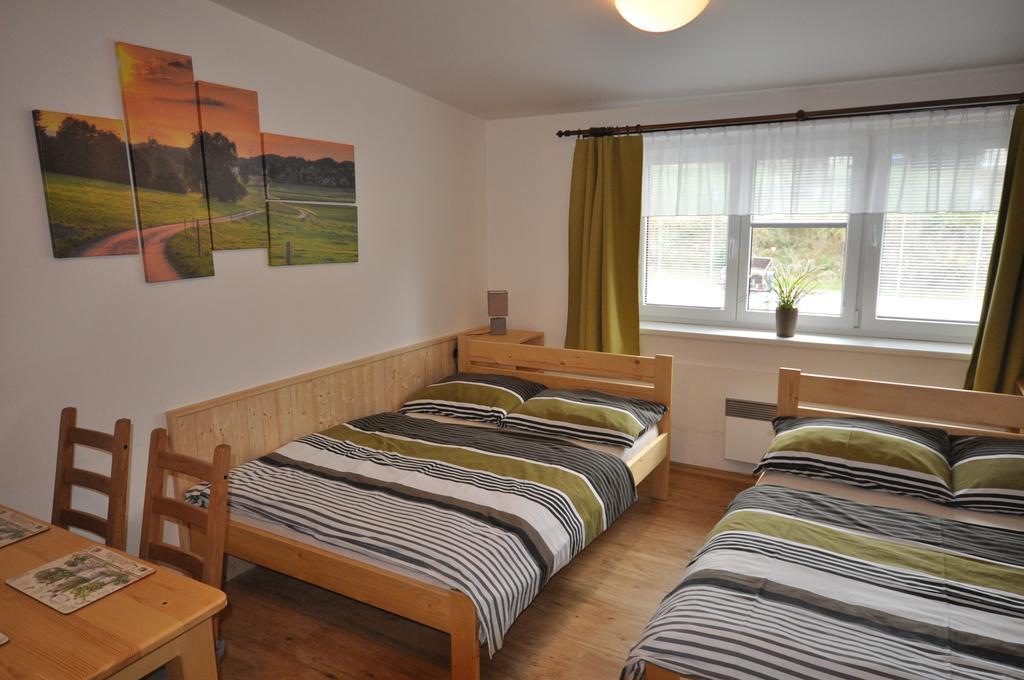 Studio Apartments Lipno 22, 24 Lipno nad Vltavou Cameră foto